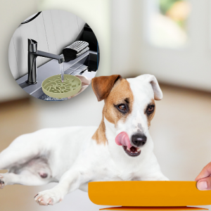 Slowfeeder Silikoneskål til Hunde – Effektiv Slow Feeder til Godbidder & Foder