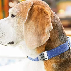 Slide-On Sølv Hundetegn