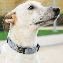 Slide-On Sort Hundetegn